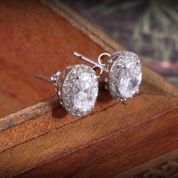 Redgem Silver 925 Jewellery Set Zircon Colorless