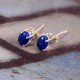 redgem silver 925 stud earrings natural lapis lazuli blue jaer118 women's fashion redgem silver 925 stud earrings natural lapis lazuli blue redgem 484