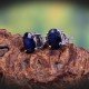 redgem 925 silver stud earrings precious natural blue sapphire jaer38 women's fashion redgem 925 silver stud earrings precious natural blue sapphire redgem 409