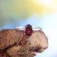 redgem 925 silver ring for women natural garnet red 5x7 mm oval jarg249 women's fashion redgem 925 silver ring for women natural garnet red 5x7 mm oval redgem 1436