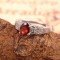 redgem sterling silver ring for women natural garnet red 5x7 mm oval jarg326 women's fashion redgem sterling silver ring for women natural garnet red 5x7 mm oval redgem 1512